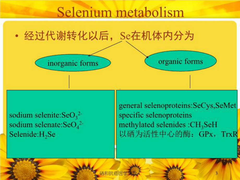 硒和抗癌医学宣教培训课件.ppt_第3页