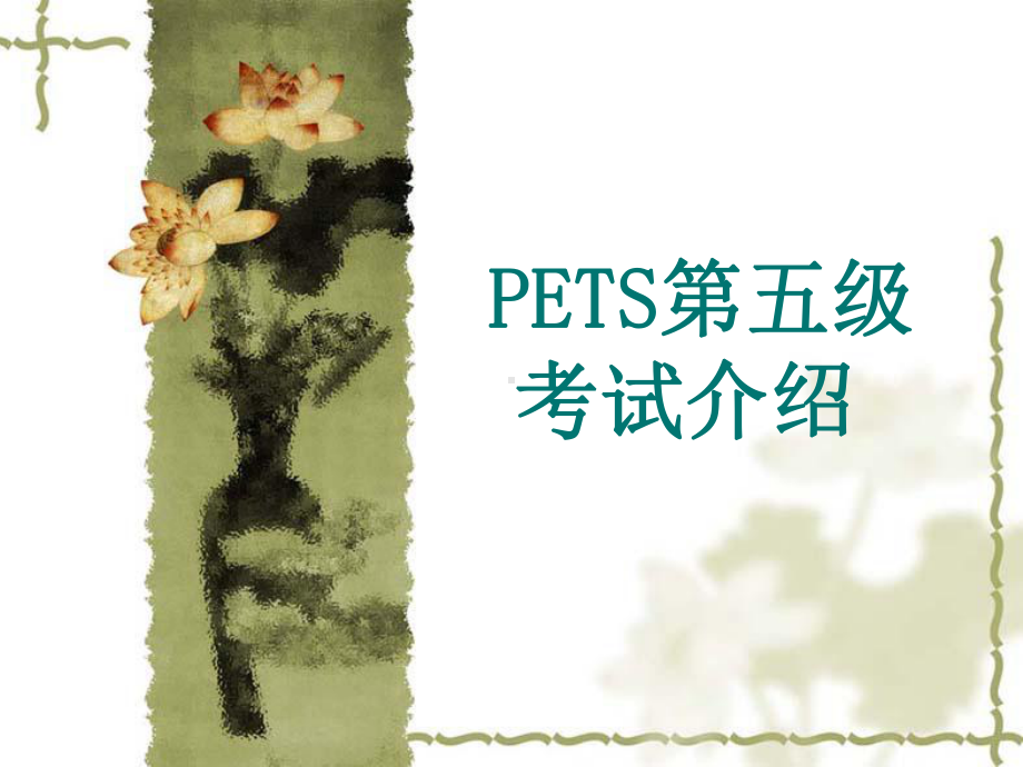 PETS第五级考试介绍课件.ppt_第1页