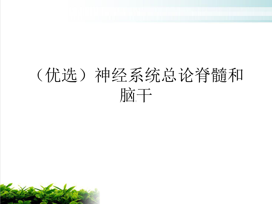 神经系统总论脊髓和脑干示范课件.ppt_第2页