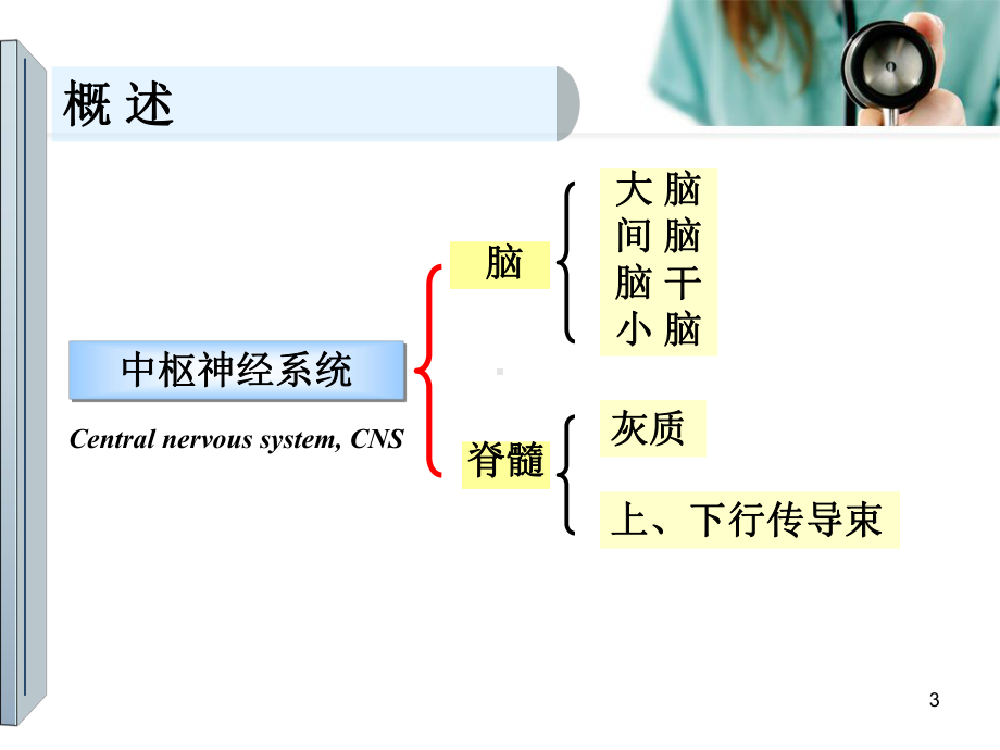 神经系统定位诊断(神经系统传导通路及定位诊断)参考课件.ppt_第3页