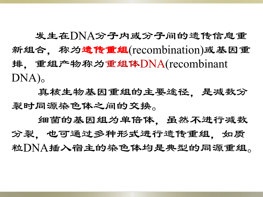 DNA重组与克隆总结课件.ppt_第2页