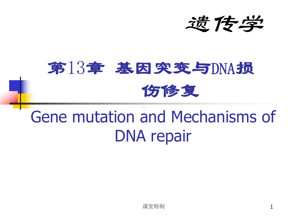 第3章基因突变与DNA损伤修复(中小学堂)课件.ppt_第1页