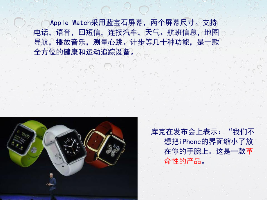 iwatch营销计划书课件.ppt_第3页