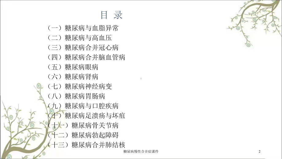 糖尿病慢性合并症课件.ppt_第2页