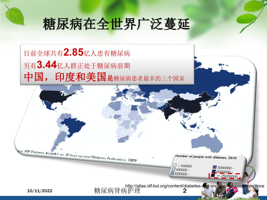 糖尿病肾病护理培训课件.ppt_第2页