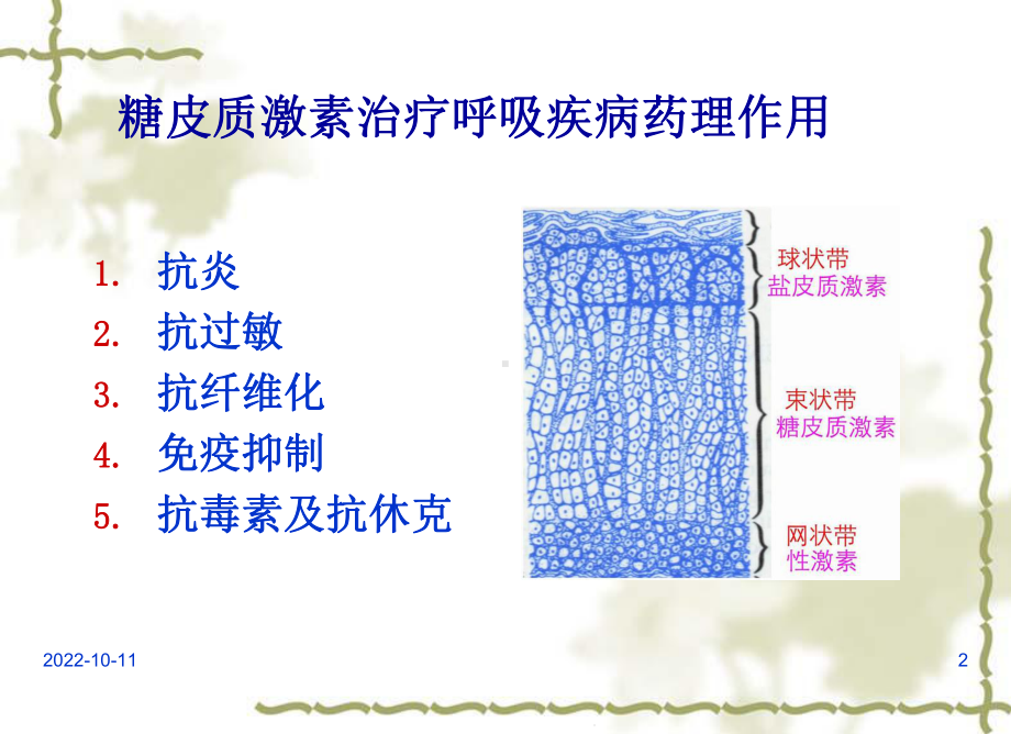 糖皮质激素在呼吸系统疾病中的合理应用课件.ppt_第2页