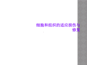 细胞和组织的适应损伤与修复课件2.ppt