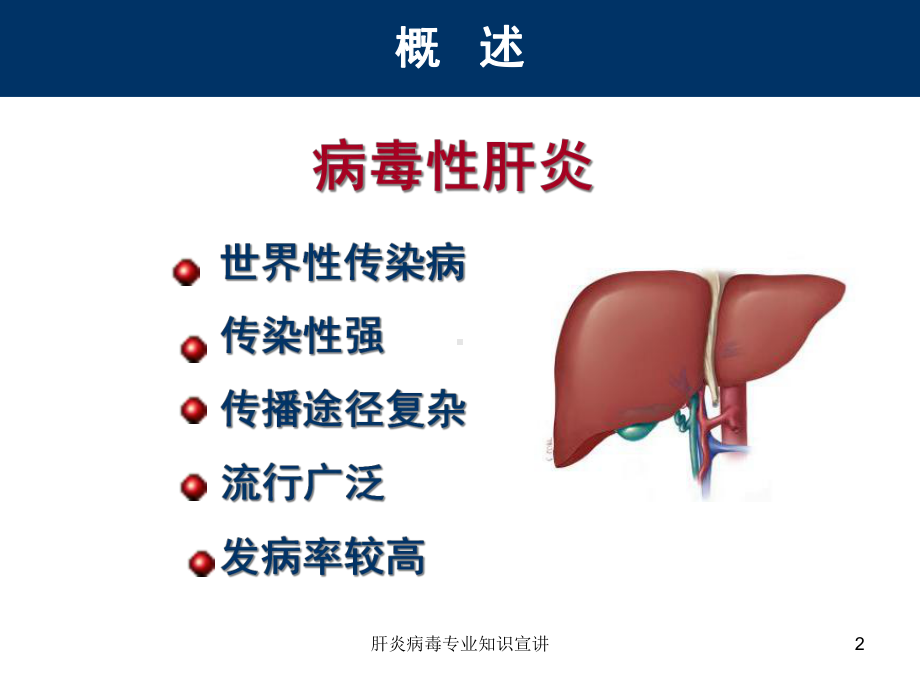 肝炎病毒专业知识宣讲培训课件.ppt_第2页