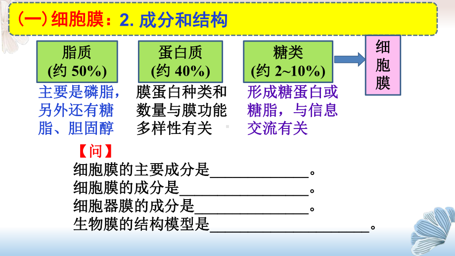 2022届新高考生物精准复习细胞膜和细胞核课件.pptx_第3页