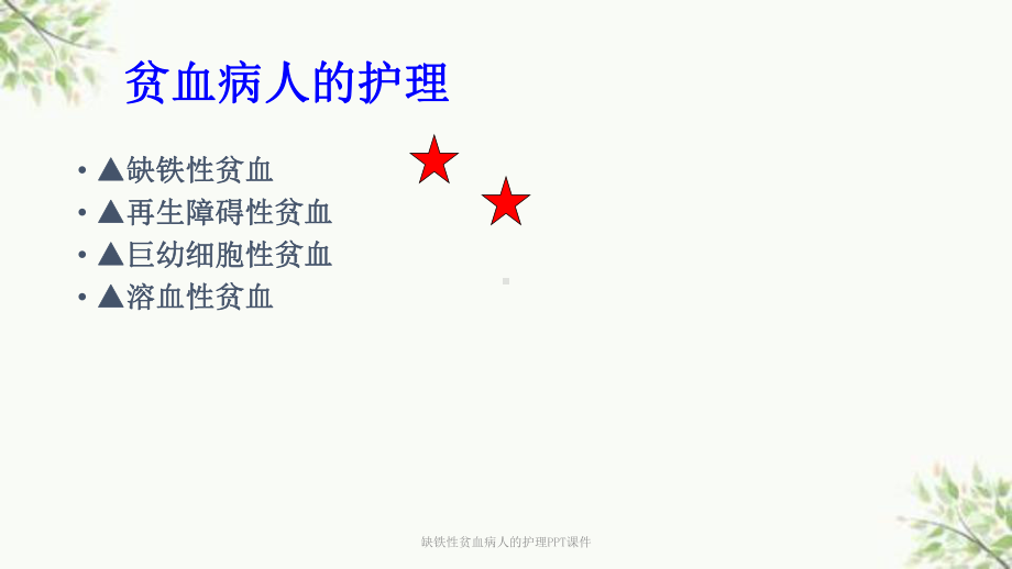 缺铁性贫血病人的护理课件-2.ppt_第2页