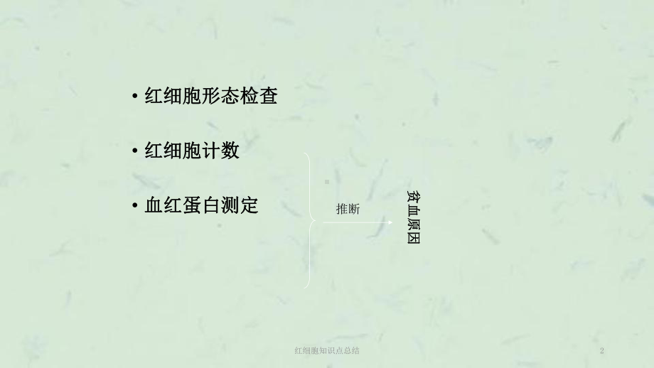 红细胞知识点总结课件.ppt_第2页