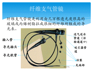 纤维支气管镜的清洗消毒和维护程序培训课件.ppt