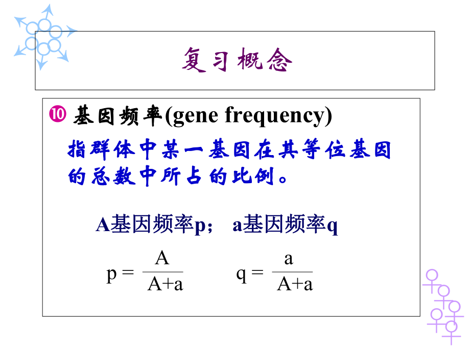 第七章--群体遗传-医学遗传学课件.ppt_第2页