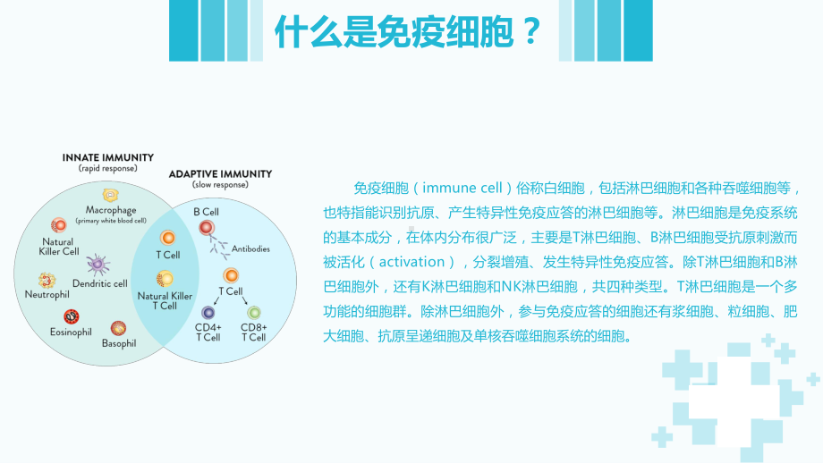 《免疫细胞存储》课件.pptx_第2页