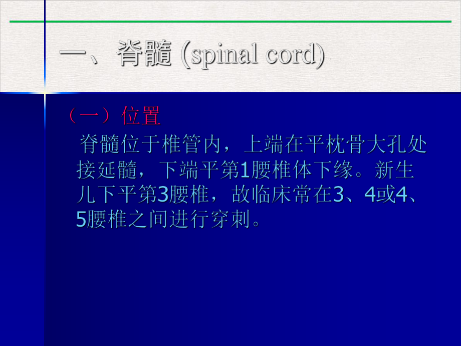 神经系统学习—脊髓与脊神经课件版.pptx_第2页