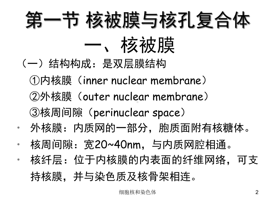 细胞核和染色体培训课件.ppt_第2页