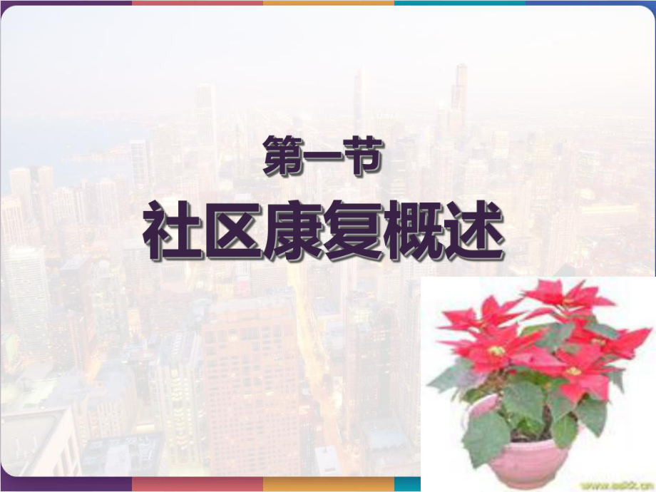 社区护理学之社区康复护理-课件.pptx_第2页