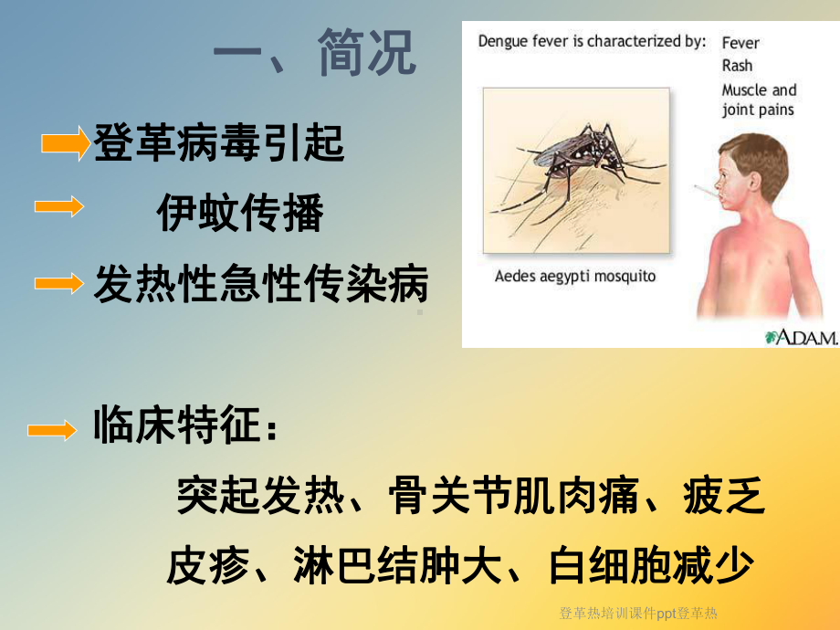 登革热培训课件登革热.ppt_第2页