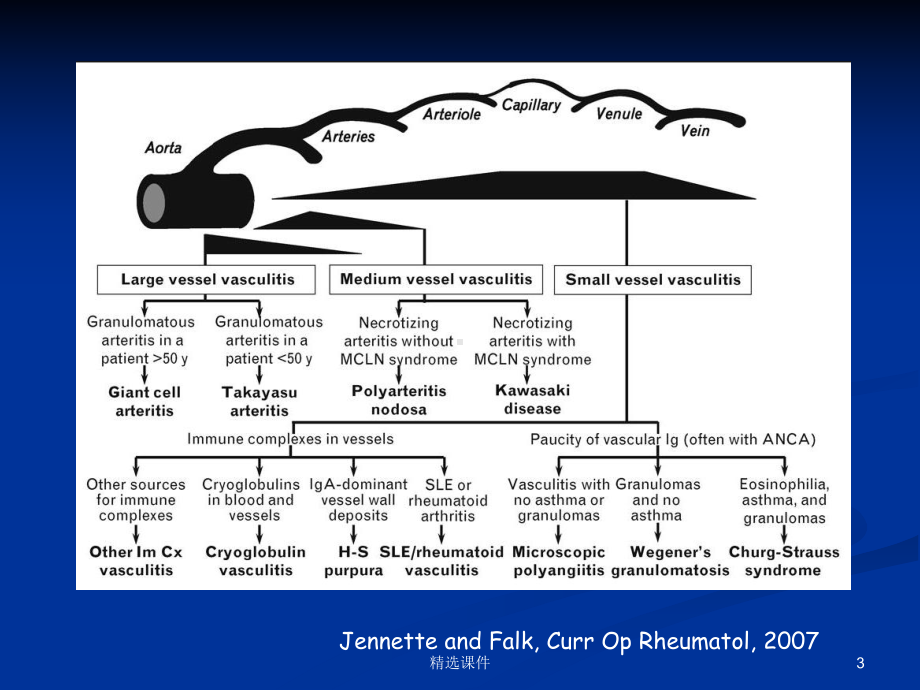 ANCA相关性血管炎版本课件.ppt_第3页