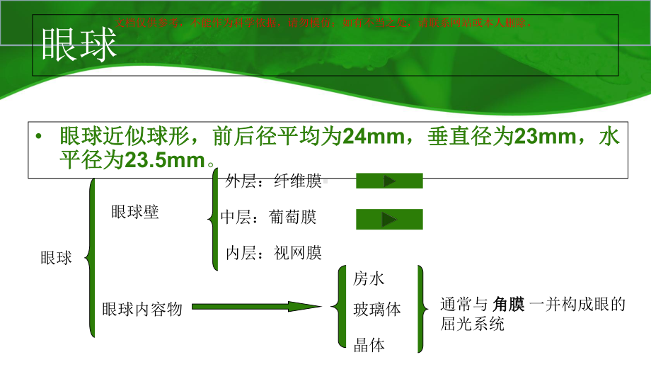 眼科实习专题知识讲座培训课件.ppt_第3页