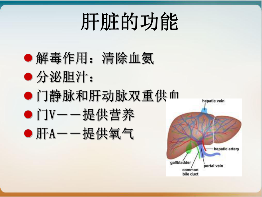 肝硬化肝癌的护理讲课课件.ppt_第3页