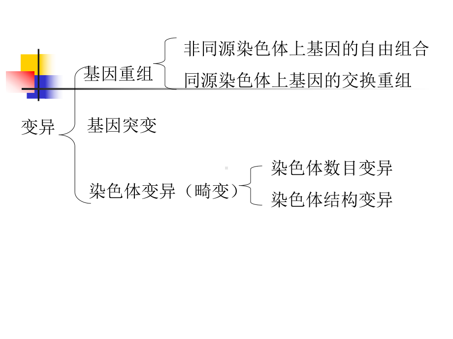 七章染色体畸变课件.ppt_第2页