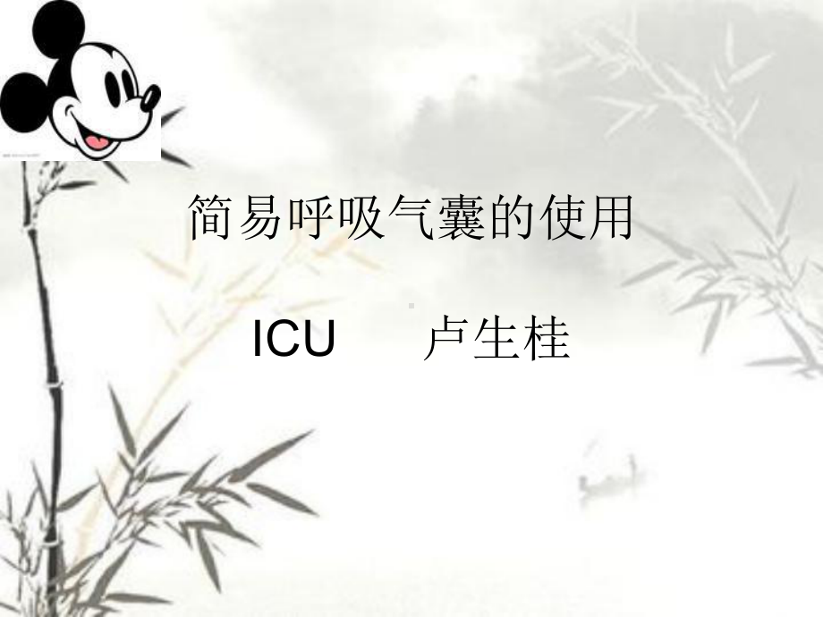 简略单纯呼吸气囊课件.ppt_第1页