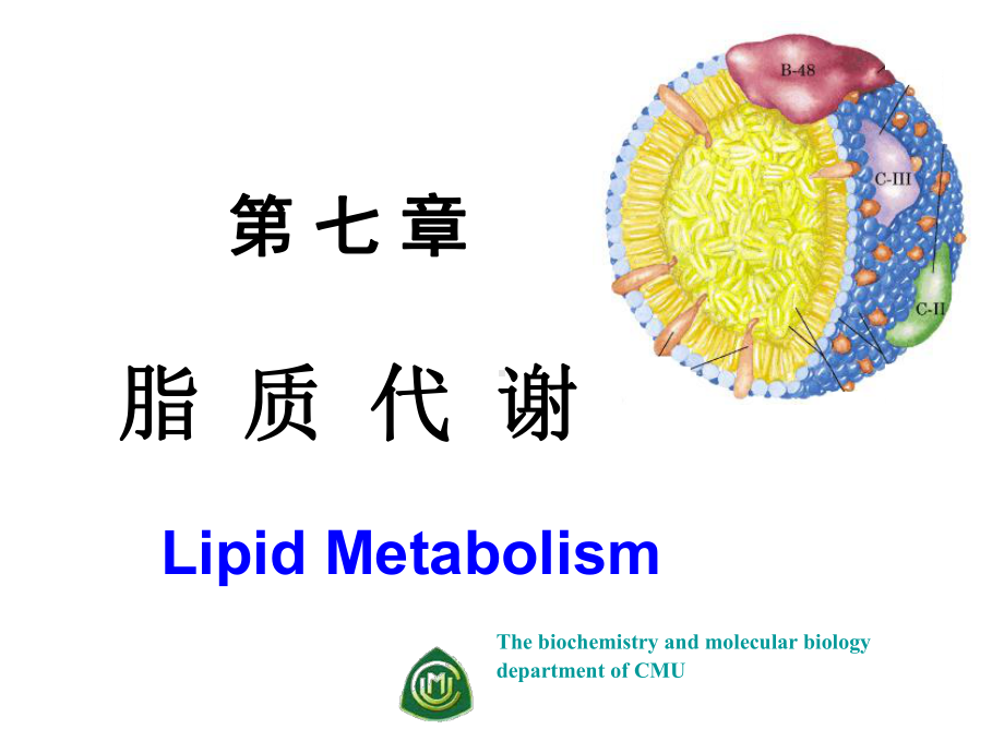 《脂质代谢》课件.ppt_第1页