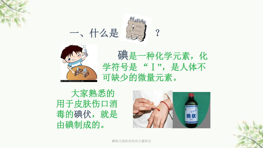 碘缺乏病防治知识主题班会课件.ppt_第2页