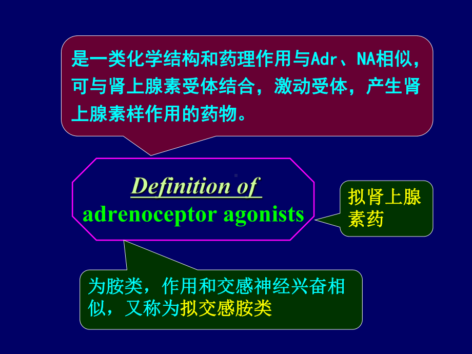 十章肾上腺素受体激动药课件.pptx_第2页