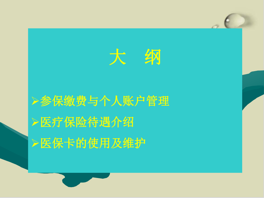 社会统筹之医疗保险简介课件(28张).ppt_第2页