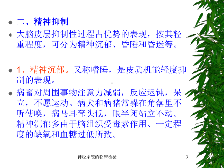 神经系统的临床检验课件.ppt_第3页