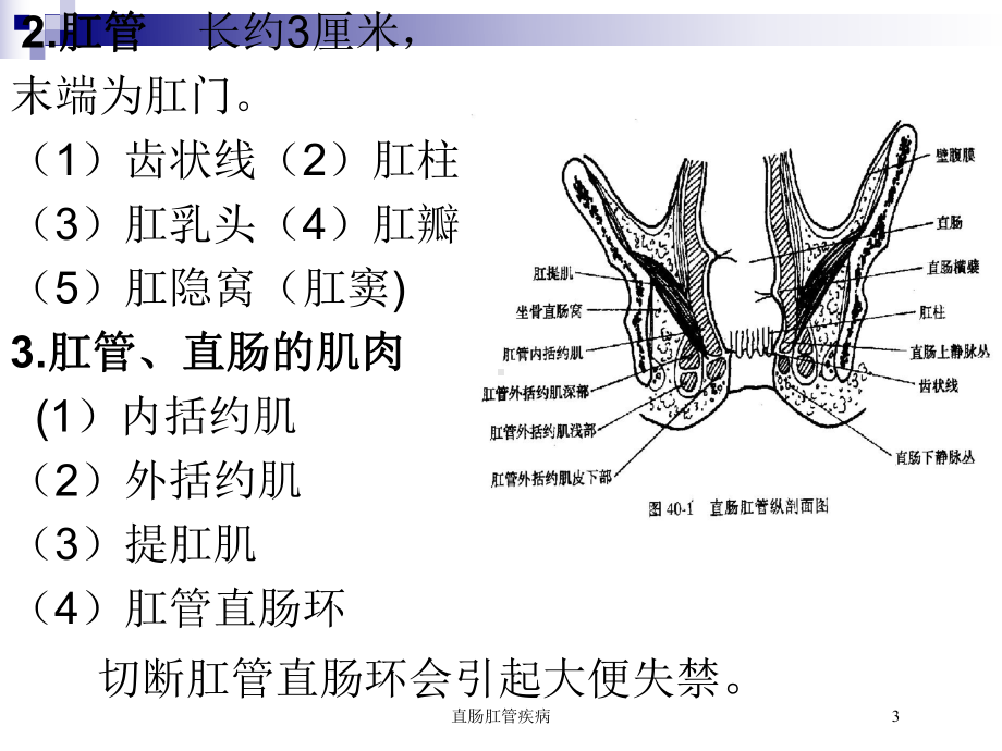 直肠肛管疾病培训课件.ppt_第3页