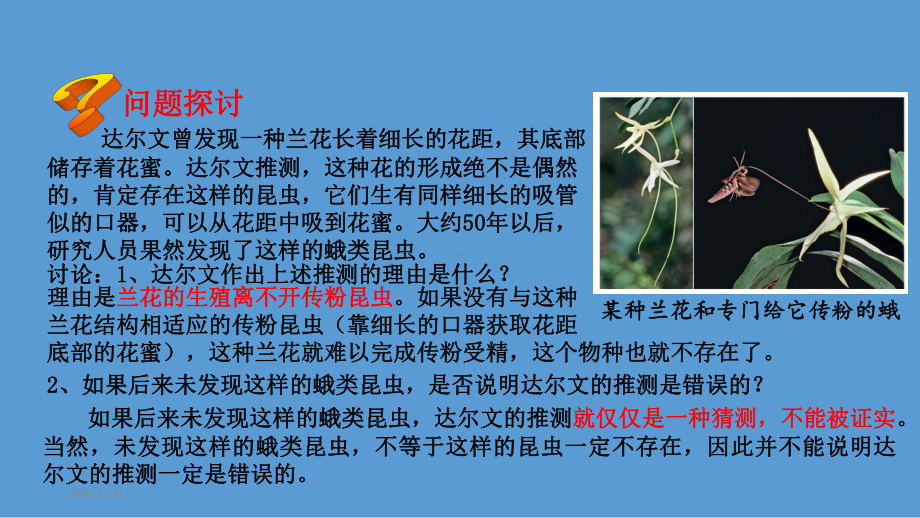 (新教材)协同进化与生物多样性的形成课件完美人教版2.pptx_第2页