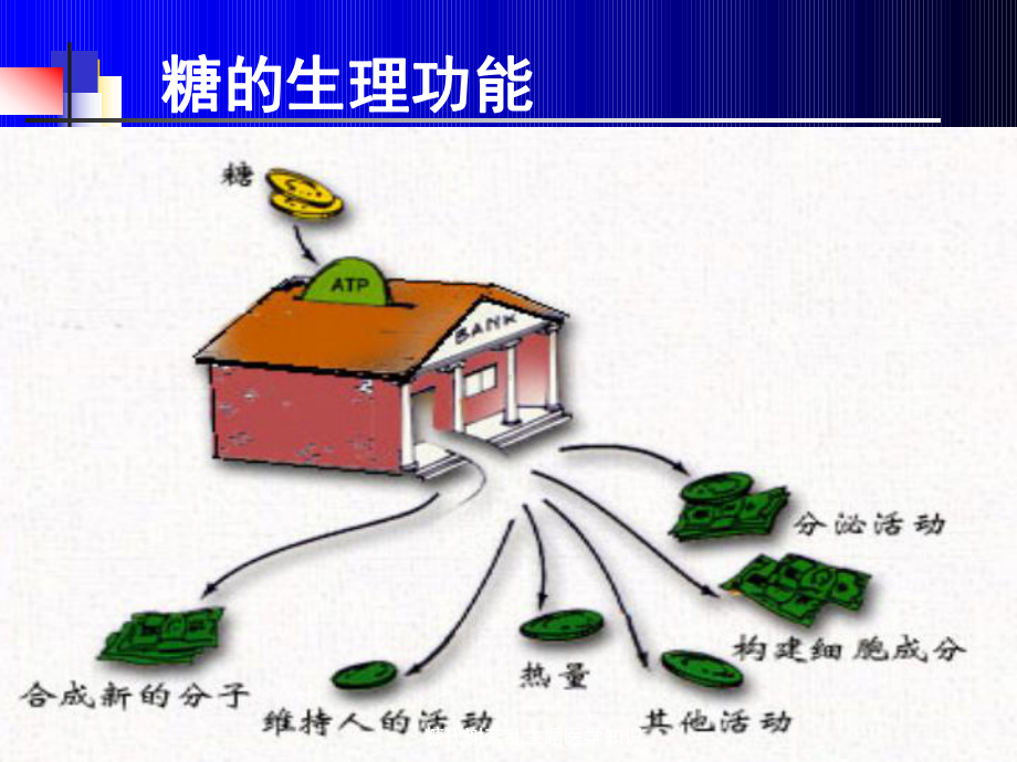 糖代谢紊乱主题医学知识培训课件.ppt_第3页