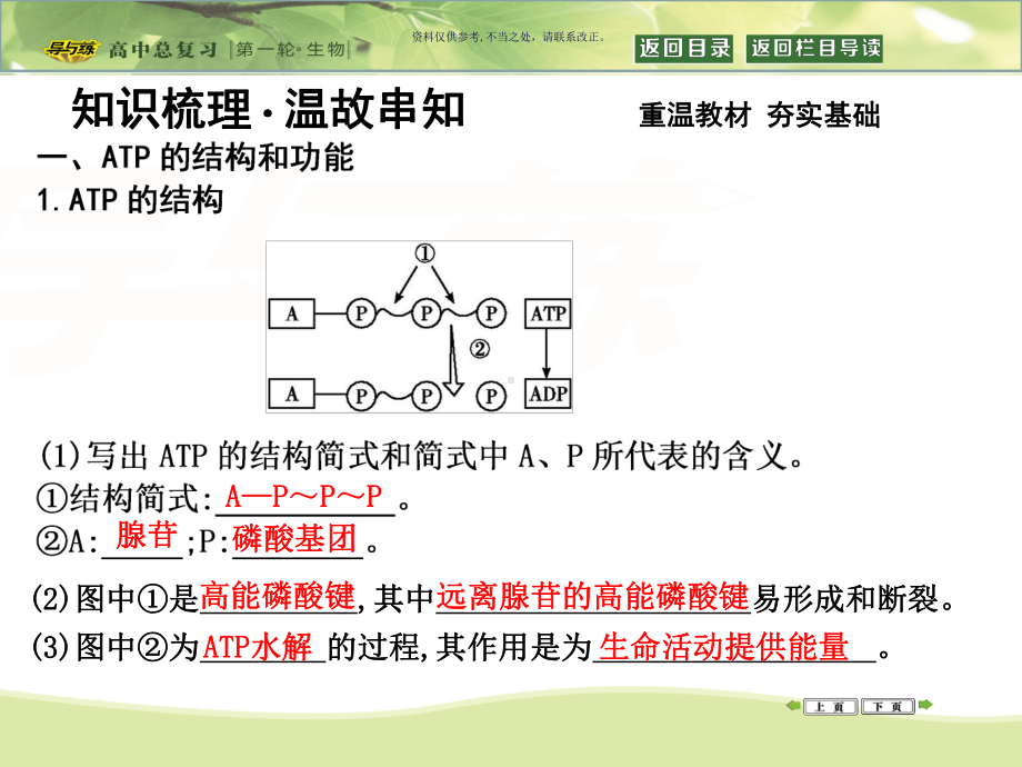 细胞的能量通货ATPATP的主要来源细胞呼吸课件.ppt_第3页