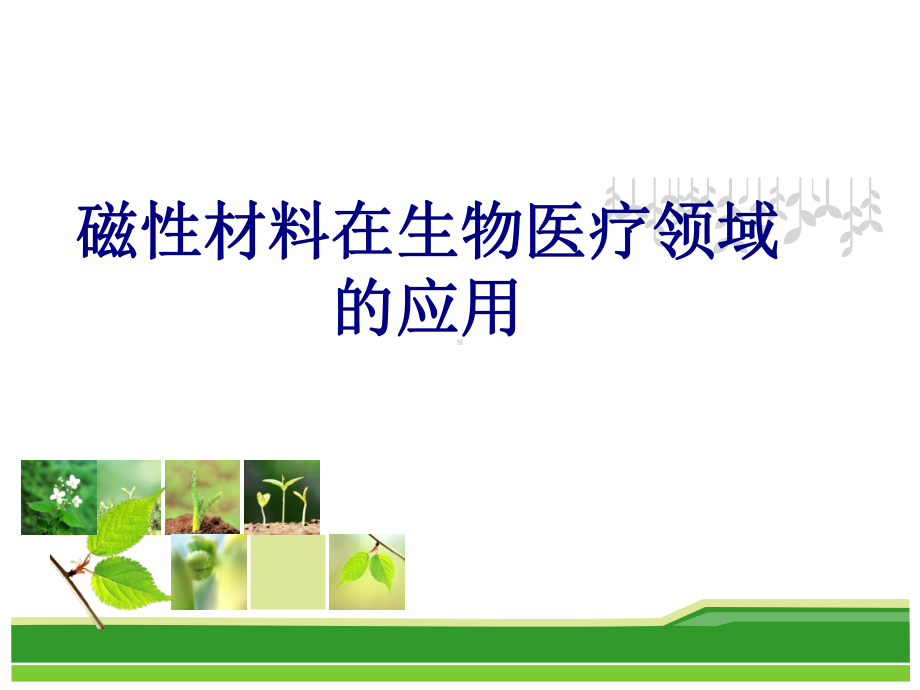 磁性材料在生物医疗领域的应用培训课件-2.ppt_第1页