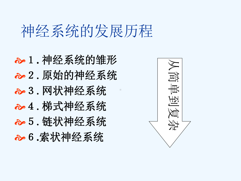 神经系统总结课件.ppt_第2页