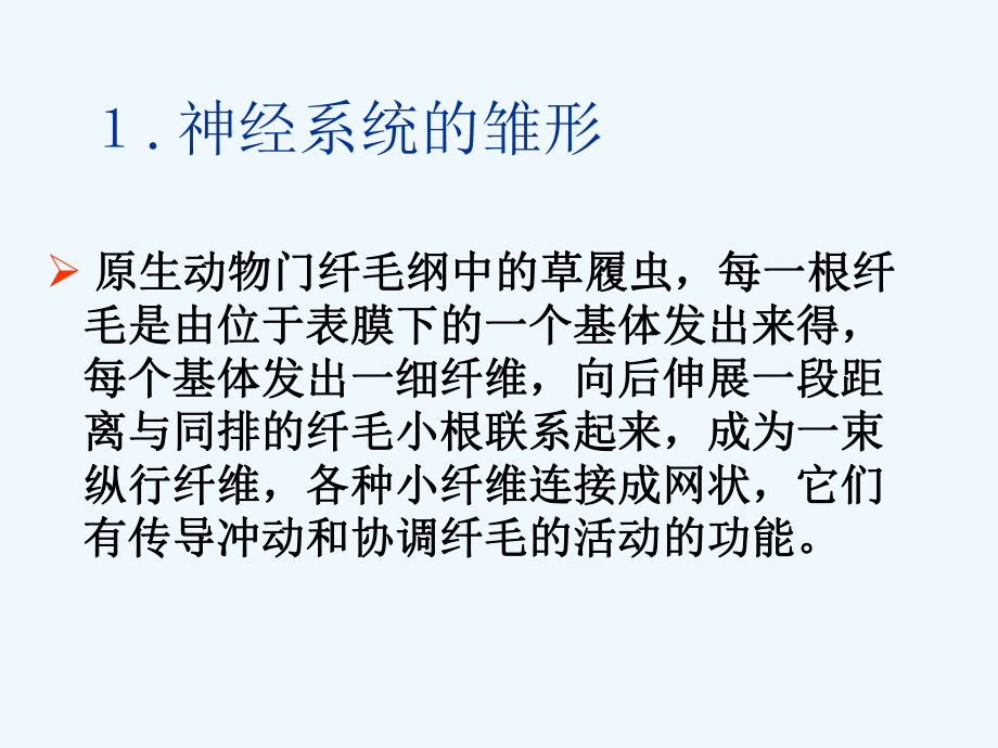 神经系统总结课件.ppt_第3页