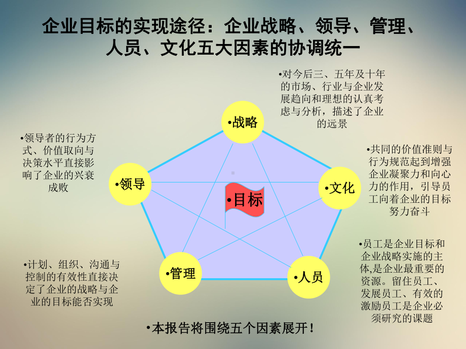 管理诊断报告(湖南维一)课件.ppt_第3页