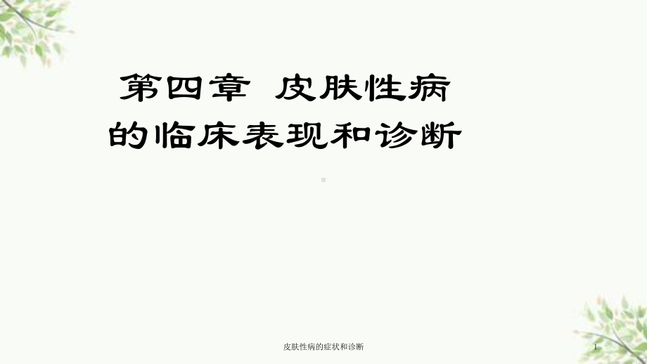 皮肤性病的症状和诊断课件.ppt_第1页