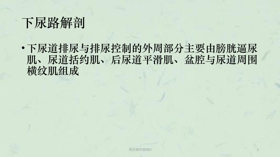 神经源性膀胱0课件.ppt_第2页