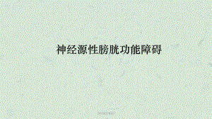 神经源性膀胱0课件.ppt