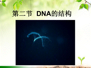 (新教材)DNA的结构优质课件人教版1.ppt