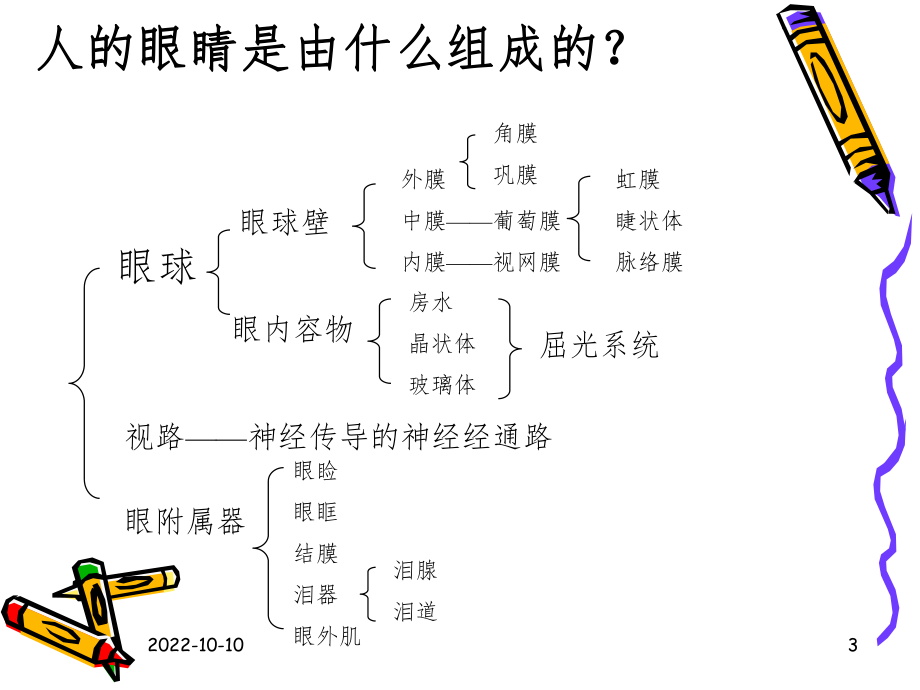 眼科基础知识课件.ppt_第3页