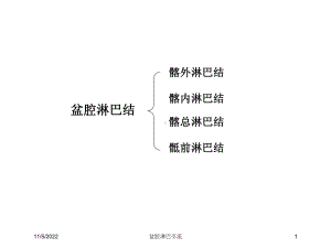 盆腔淋巴引流培训课件.ppt