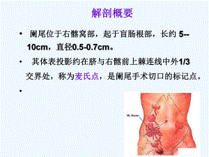 第二十八章急性阑尾炎易国平课件.ppt