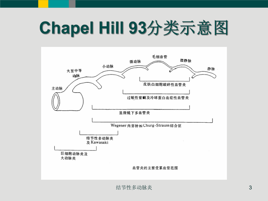 结节性多动脉炎培训课件.ppt_第3页