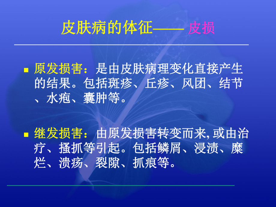 皮肤病的临床表现与诊断完整版课件.pptx_第2页