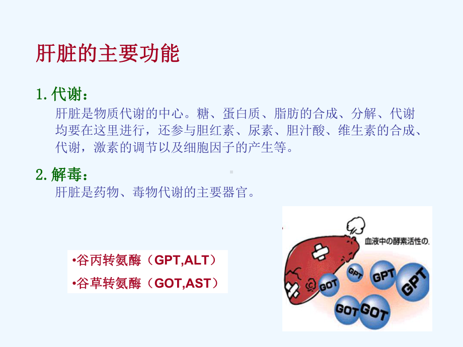 肝炎治疗的基础知识课件.ppt_第1页